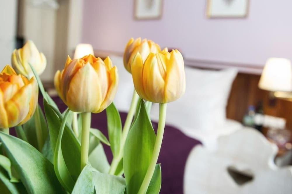 Hotel Elch Boutique Nuremberg Bagian luar foto
